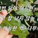 천식농장 이미지