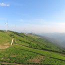 육백마지기 이미지