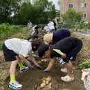 송탄초등학교 이미지