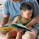 작가와 함께 하는 동화창작 | 두돌 책육아 창작동화 도레미곰 전집 개정판 책기둥작업 후기 (엄가다작업) 놀라운자연