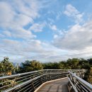 원주 출렁다리민박 | 후들거리는 다리로 마주한 절경, 원주 소금산 출렁다리 솔직후기