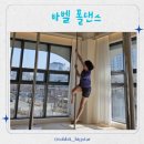 바벨폴댄스 이미지