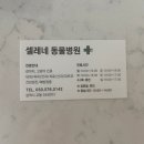 삼척동물병원 이미지