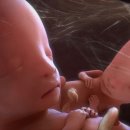 (주)분엔터테인먼트 이미지