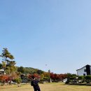 중복리소교량 | 양양애견펜션 초대형 댕댕이 낙원 복골온천펜션