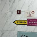 로꼬헤어 - 남동구 남동대로837번길 1 | [포항 장성동] 포항미용실 추천 장성동 로꼬헤어 레이어드펌 솔직후기