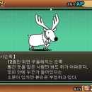 부엉이 눈썹