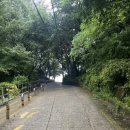 둘리상사 이미지