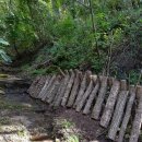 원목농장 이미지