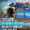 백년찜질사우나 | 송파 파크하비오 워터킹덤 워터파크 찜질스파 내돈내산 솔직후기