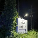제부 포레스트 이미지