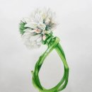 힐링 꽃과 식물 세밀화 이미지