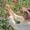 최용진 농장 이미지