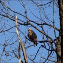 다산초교 이미지