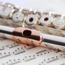 플룻 (고급) 이미지