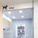 달빛동물병원 이미지