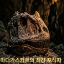 메갈로(주) | 마다가스카르의 최강 포식자— 동족까지 잡아먹은 백악기의 지배자