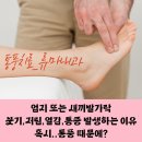 류마이준희내과의원 | 류마티스내과명의 제대로 고르는 법