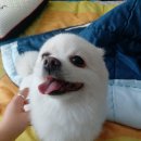 네일오브쥬