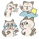 고양이의 하루 | 현실고양이의 하루! 솔직하고 유쾌한 감정 표현 스티커 추천