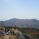 유림-1035 이미지