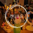 제주 혼술바 캔디포유 방문 후기