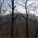 수목원 입구 이미지