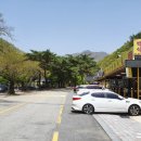 백양사 먹거리타운 이미지