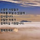 금빛시간 이미지