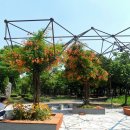 부천-중앙-부천-02 이미지