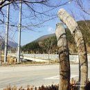 진사민박 이미지