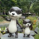 무등산한의원 이미지