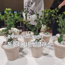 서울시 중구 지역센터 5주 가드닝수업 프로그램