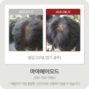 마야헤어모드 이미지