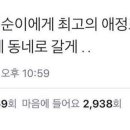 디어마이유니버스
