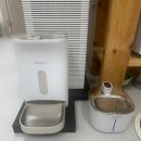 에브리캣 이미지