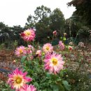 농부보따리 이미지