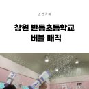 반동초등학교 이미지