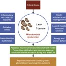 Re: Mineral requirements for mitochondrial function 이미지