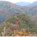 장태산휴양림 이미지