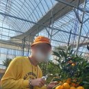 혜림농장 이미지