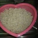 꽁보리밥 이미지