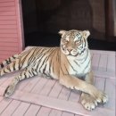 바람이지나간자리 이미지