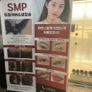 강남구청역 눈썹 피씨엘코리아 담채눈썹 후기