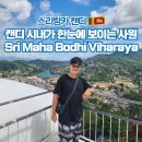 언덕 위 초록지붕 | 스리랑카 여행 캔디 시내가 한눈에 보이는 언덕 위 사원