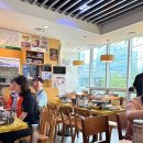 판교 예스의원 이미지