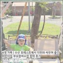 4대 가족 | 수산 포레스트에서 더위와 싸우며 즐긴 어린이집 부모참여수업 참여행사