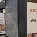 타르트곰 이미지