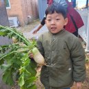 큰별어린이집 | 직장어린이집, 철원 동송 ‘푸른별 어린이집’ 1년 재원 후기