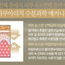 아쿠아뷰티 이미지